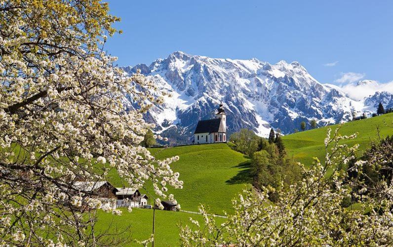 Leni'S Mountain Appartements Dienten am Hochkönig Dış mekan fotoğraf