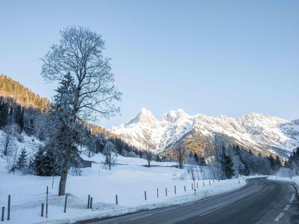 Leni'S Mountain Appartements Dienten am Hochkönig Dış mekan fotoğraf