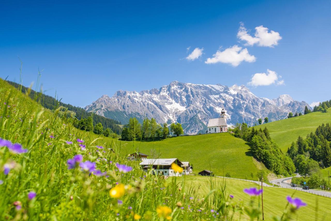 Leni'S Mountain Appartements Dienten am Hochkönig Dış mekan fotoğraf