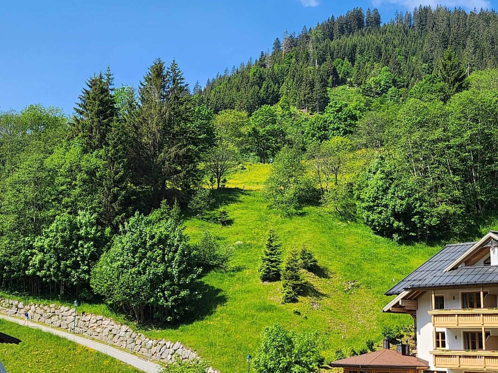 Leni'S Mountain Appartements Dienten am Hochkönig Dış mekan fotoğraf